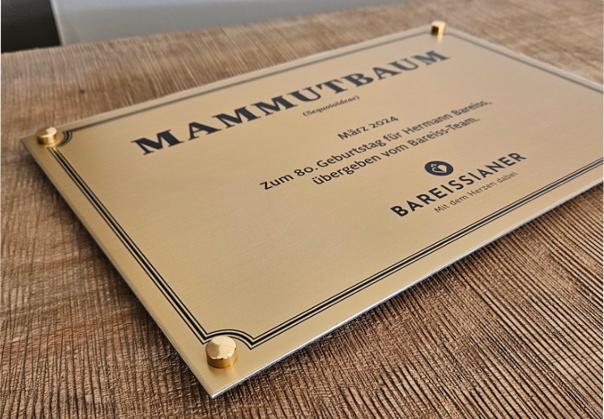 Satiniertes Messingschild als exklusives Hoteleingangsschild für eine luxuriöse Hotelbeschilderung in Mannheim.